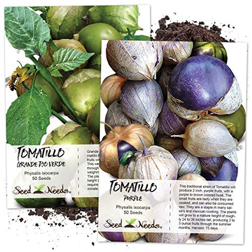 Tomatillo Duo  Purple   Grande Rio Verde Tomatillo Seeds  Physalis ixocarpa  Non GMO Seeds by Seed Needs