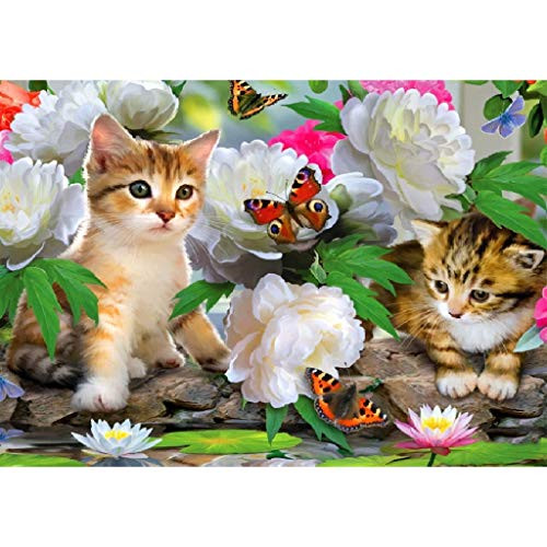 5D Diamond Painting for Adult DIY Full Diamond Painting Kit Cats Flower Diamond Art by Numbers Full Drill Diamond Embroidery Wall Decor  11 8X15 7inch