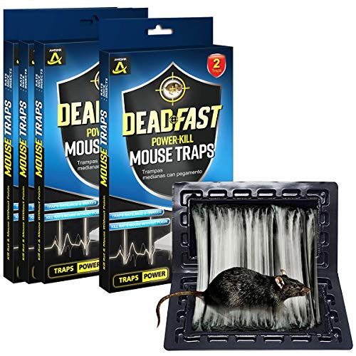 AWESMR Baited Rat  Mouse and Insect Glue Traps Professional Strength   4 Packs Pack of 2 pcs