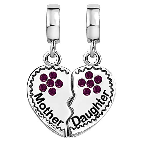 JMQJewelry Charms for Bracelets Mother Daughter Love Clover Heart Dangle Birthday Purple February Birthstone JMQJewelry Charms for Bracelets Mother Daughter Love Clover Heart Dangle Birthday Purple February Birthstone