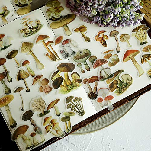 Mushroom Scrapbook Stickers   Doraking 100PCS DIY Decoration Sulfuric Paper Mushroom Stickers for Scrapbook Decoration Without Repeat  Mushroom Illustration  100PCS Pack