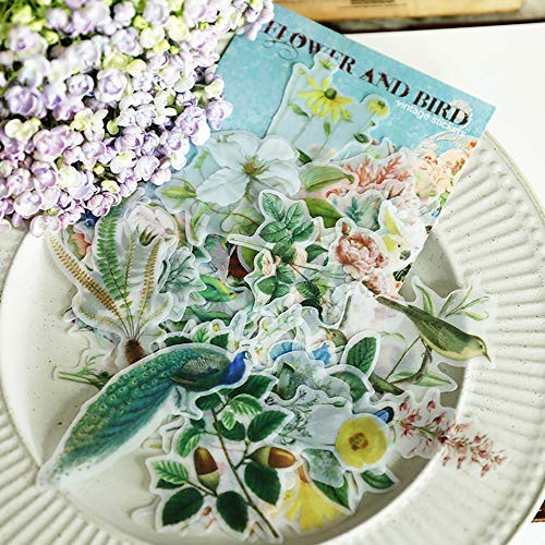 Vintage Paper Scrapbook Stickers   Doraking DIY Decoration Transparent Sulfuric Paper Plants and Bird Stickers for Scrapbook Decoration Without Repeat  Flower and Bird  56PCS Pack