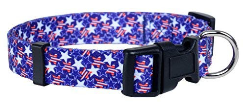 Native Pup American Flag Dog Collar  Large  Stars