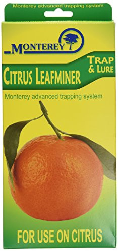 Monterey LG8920 Citrus Leafminer Trap and Lure, Pack of 2