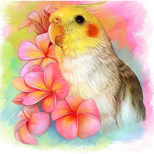 5D Diamond Painting Full Round Drill DIY Diamond Painting Kits for Adults for Home Art Painting Decoration Cockatiel Parrot Flowers 11 8x11 8in 1 Pack by Witfox 5D Diamond Painting Full Round Drill DIY Diamond Painting Kits for Adults for Home Art Painting Decoration Cockatiel Parrot Flowers 11 8x11 8in 1 Pack by Witfox