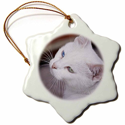 3dRose orn_70988_1 White-Haired Cat with Blue and Green Eyes-As37 Jmr0068-Julien Mcroberts-Snowflake Ornament, Porcelain, 3-Inch