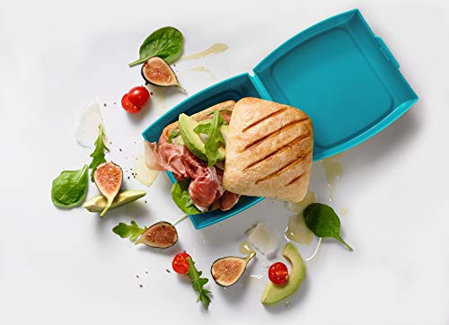 Trudeau 8oz Sandwhich Box  Tropical