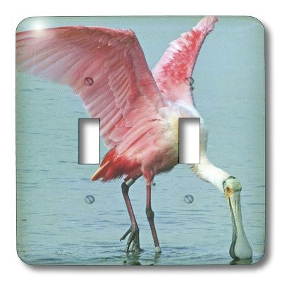 3dRose lsp_35348_2 Upclose Roseate Spoonbill Pink Tropic Bird Toggle Switch Multi-Color