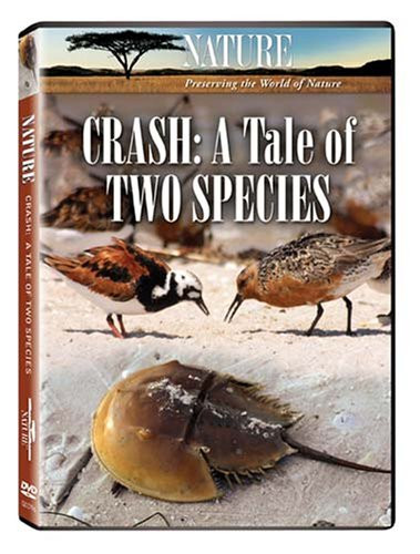 Nature  Crash   A Tale of Two Species