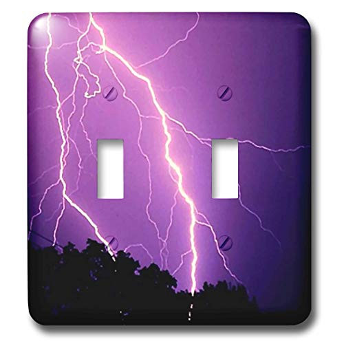 3dRose lsp 44855 2 Purple Lightning Toggle Switch