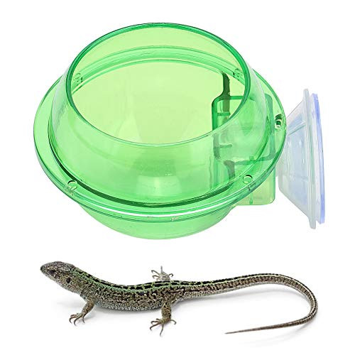 Tnfeeon Lizard Feeder Bowl Suction Cup Reptile Feeder Reptiles Ledge Accessories Supplies for Lizard Chameleon Gecko Tnfeeon Lizard Feeder Bowl Suction Cup Reptile Feeder Reptiles Ledge Accessories Supplies for Lizard Chameleon Gecko