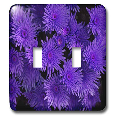 3dRose lsp 20608 2 Pretty Purple Floral Bouquet Double Toggle Switch