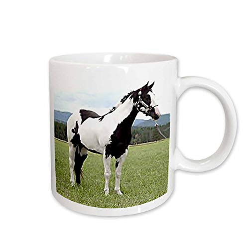 3dRose Paint Horse Mug  11 Ounce