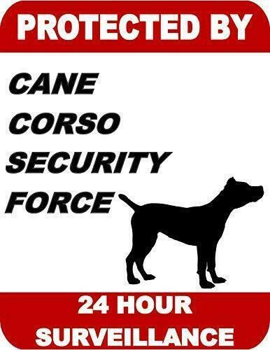 Top Shelf Novelties Protected by Cane Corso Dog Security Force 24 Hour Surveillance Dog Sign SP1721