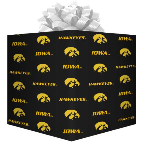 Football Fanatics NCAA Iowa Hawkeyes Logo Gift Wrap Paper   Black