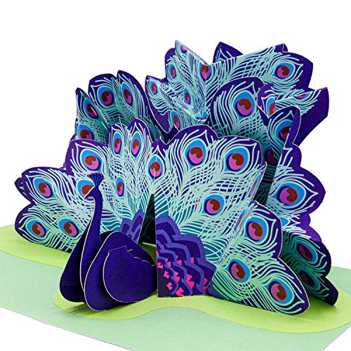 Paper Love Peacock Pop Up Card  3D Popup Greeting Cards  For Mothers Day  Fathers Day  Thank You  Get Well  Graduation  Spring  Valentines Day  Wedding  Anniversary  Birthday  Any Occasion