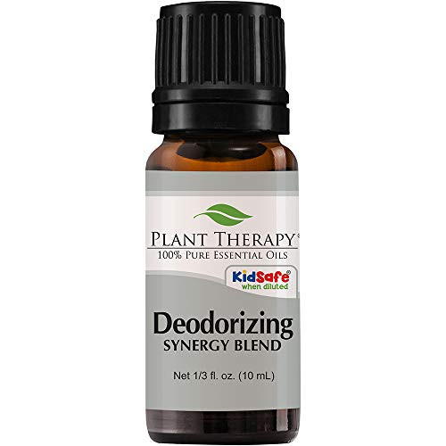 Plant Therapy Deodorizing Synergy Essential Oil Blend 10 mL 1 3 oz 100 Pure Undiluted Therapeutic Grade Plant Therapy Deodorizing Synergy Essential Oil Blend 10 mL 1 3 oz 100 Pure Undiluted Therapeutic Grade
