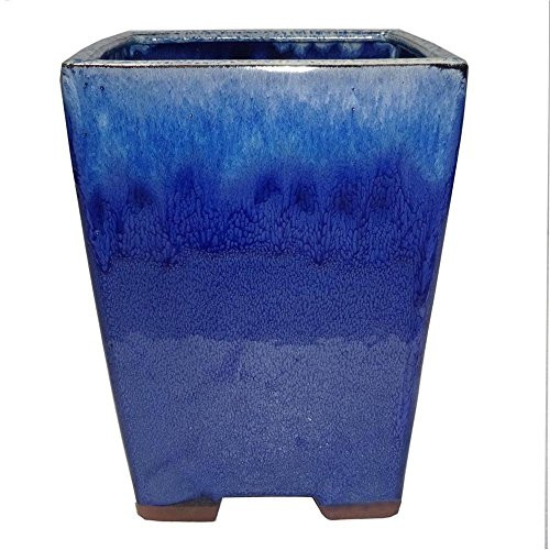 Brussel's 6.5" Square Bonsai Glazed Ceramic Pot (Small, Blue-Beige)