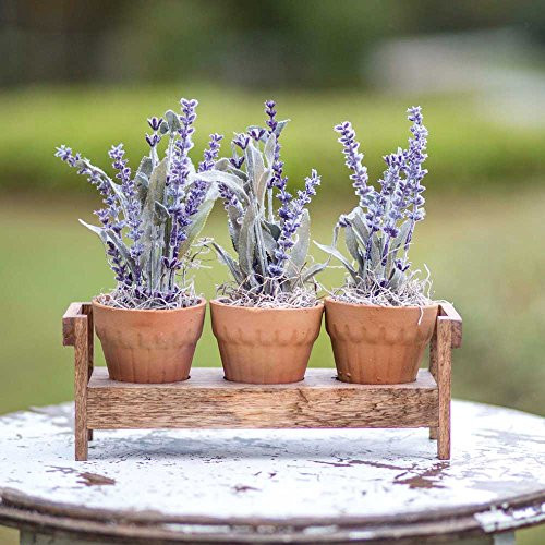 Bench Caddy with Three Terra Cotta Flower Pots Garden Rustic Home Decor