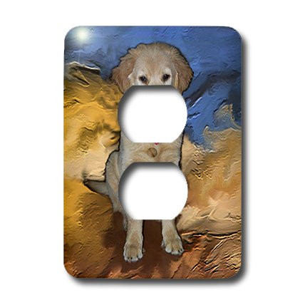 3dRose lsp_3969_6 Golden Retriever Puppy 2 Plug Outlet Cover