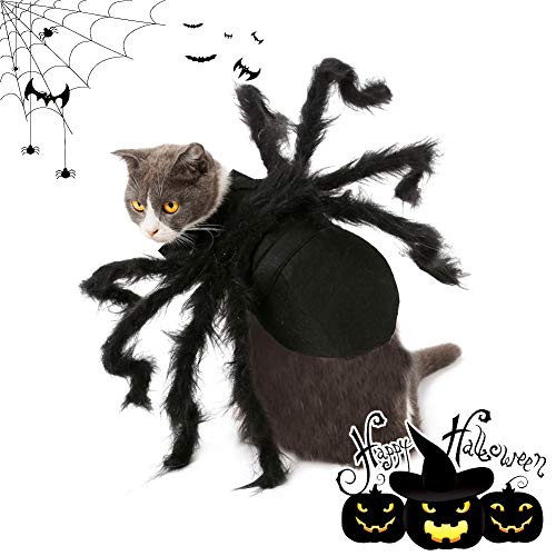 Halloween Pet Spider Costumes  Horror Simulation Plush Spider Transformation Costumes Puppy and Cat Party Costumes Halloween Costumes 1 pcs S