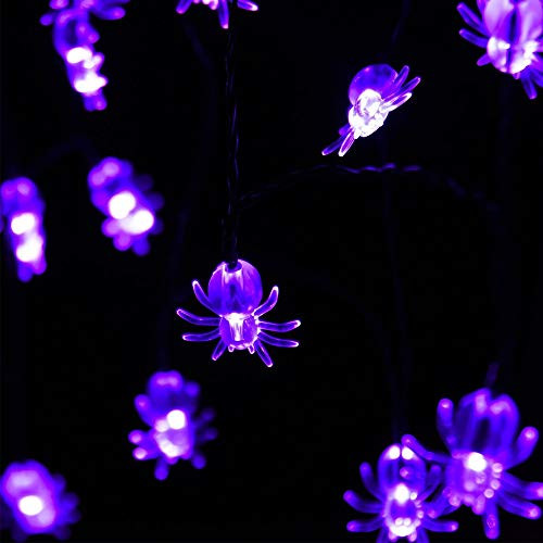 NIWWIN Halloween Lights Halloween String Light Set Battery Operated Fairy Lights String Lights with 20 LED Each for Indoor Outdoor Halloween Christmas Party Yard Decoration  Purple