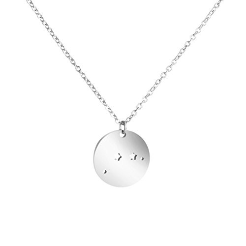 Awegift Aries Necklace Constellation Stainless Steel Engraved Disc Jewelry Gifts for Women Awegift Aries Necklace Constellation Stainless Steel Engraved Disc Jewelry Gifts for Women