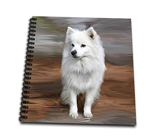 3dRose db 4178 3 American Eskimo Toy Dog Mini Notepad  4 by 4