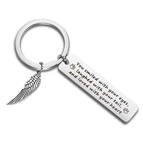QIIER Pet Loss Pet Memorial Gift Keychain with Angel Wing Charm Loss of Pet Gift Dog Cat Loss Keychain Gift  silver QIIER Pet Loss Pet Memorial Gift Keychain with Angel Wing Charm Loss of Pet Gift Dog Cat Loss Keychain Gift  silver