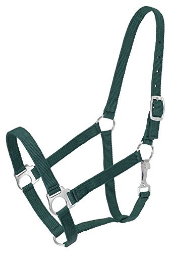Tough 1 Economy Halter  Hunter Green  Horse