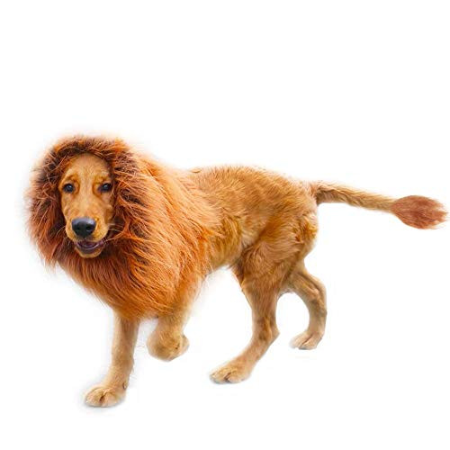 Dog Halloween Lion Costume Lion Mane Costume for Dog Dog Lion Wig for Dog Large Pet Festival Party Fancy Hair Dog Clothes Lion Mane Wig for Dogs Dog Halloween Lion Costume Lion Mane Costume for Dog Dog Lion Wig for Dog Large Pet Festival Party Fancy Hair Dog Clothes Lion Mane Wig for Dogs