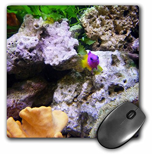 3dRose LLC 8 x 8 x 0 25 Inches Pretty in Purple Mouse Pad  mp 13966 1