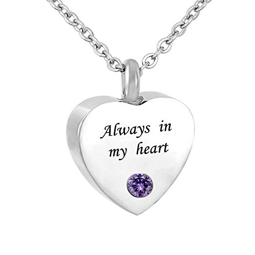 Infinite Memories Always in My Heart Urn Necklace for Ashes Cremation Memorial Keepsake February Purple CZ Birthstone Infinite Memories Always in My Heart Urn Necklace for Ashes Cremation Memorial Keepsake February Purple CZ Birthstone