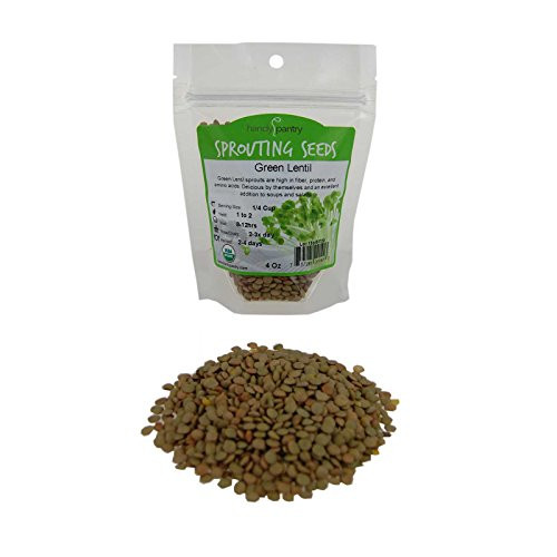 Certified Organic Dried Green Lentil Sprouting Seed  4 Oz   Handy Pantry Brand  Dry Lentils for Planting Garden Seeds  Soup  Cooking or Sprout Salad  Sprouts