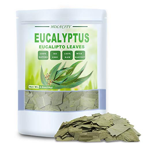 100 Natural Dried Eucalyptus Leaves Eucalyptus Herbal Tea Cut and Shifted Bulk Bag 2 oz 100 Natural Dried Eucalyptus Leaves Eucalyptus Herbal Tea Cut and Shifted Bulk Bag 2 oz