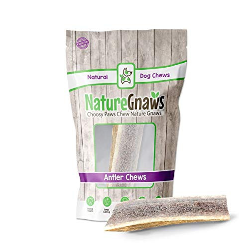 Nature Gnaws Elk Antlers for Large Dogs Premium Natural USA Antler Chews Long Lasting Dog Bones for Aggressive Chewers Mix of Split and Whole 5 8 Inch 1 Count Nature Gnaws Elk Antlers for Large Dogs Premium Natural USA Antler Chews Long Lasting Dog Bones for Aggressive Chewers Mix of Split and Whole 5 8 Inch 1 Count