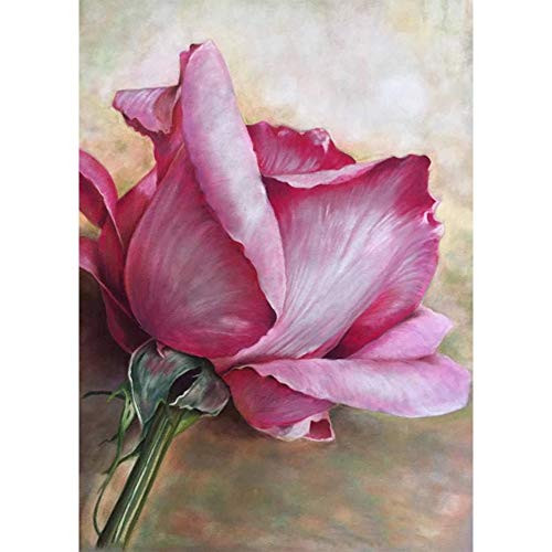 DIY 5D Diamond Painting by Numbers Kits Pink Rose Flowers Full Drill Rhinestones Paint with Diamonds Crystal Diamond Art Rose DIY 5D Diamond Painting by Numbers Kits Pink Rose Flowers Full Drill Rhinestones Paint with Diamonds Crystal Diamond Art Rose