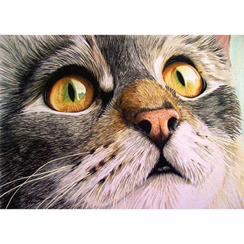 DIY 5D Diamond Painting by Numbers Kits  Cat Animal  Full Drill Rhinestones Paint with Diamonds Crystal Diamond Art  Cat
