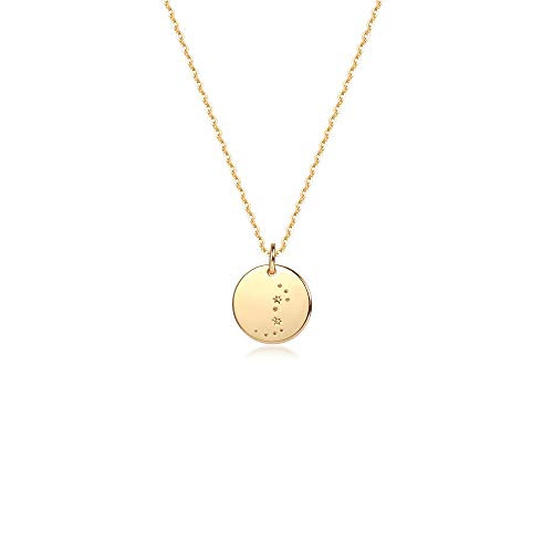 Mevecco Scorpio Astrology Zodiac Constellation Necklace 14K Gold Plated Cute Tiny Horoscope Star Sign Disc Necklace for Women