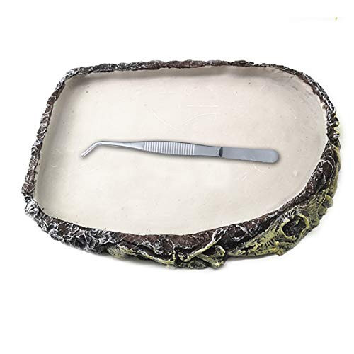 BLSMU Reptile Food Bowl  Resin Bearded Dragon Water Dish with Stainless Steel Tweezer for Lizard Gecko Snake Chameleon Tortoise
