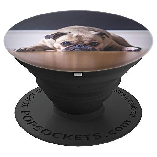Not today Funny puppy Pug Dog nap PopSockets Grip and Stand for Phones and Tablets Not today Funny puppy Pug Dog nap PopSockets Grip and Stand for Phones and Tablets