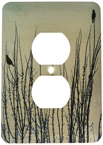 3dRose lsp_44734_6 Birds On Branches- Winter- Nature Art 2 Plug Outlet Cover