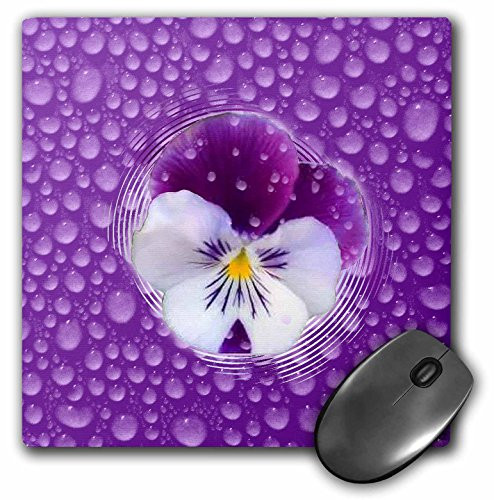 3dRose Morning Mist and Purple Pansy   Mouse Pad  8 by 8 inches  mp 46510 1