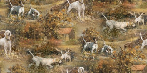 Springs Creative Products Wild Wings Point North Scenic Fabric by The Yard  43 44 Inch Wide  Multi Colored