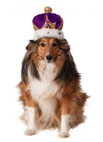 Rubie s Costume Co Mardi Gras King s Crown for Pets  Small Medium  Purple