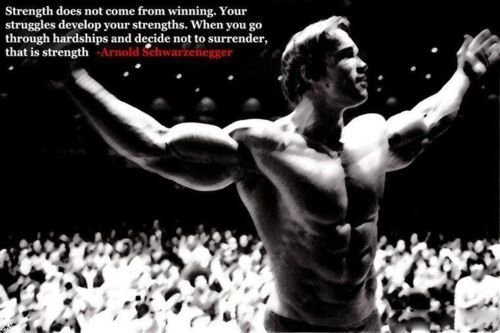 Arnold Schwarzenegger Bodybuilding Poster 12X18   rolled by zolto poster