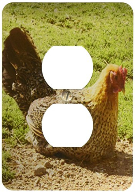 3dRose lsp_195192_6"Chicken" 2 Plug Outlet Cover