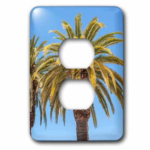 3dRose lsp_205668_6 USA, Florida, Tierra Verde, Palm Trees. 2 Plug Outlet Cover