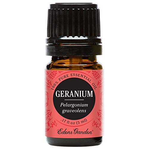 Edens Garden Geranium Essential Oil 100 Pure Therapeutic Grade Anxiety Skin Care 5 ml Edens Garden Geranium Essential Oil 100 Pure Therapeutic Grade Anxiety Skin Care 5 ml