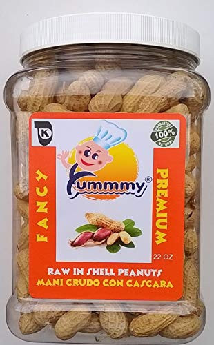 Yummmy Raw Peanuts in Shell  22 oz  Kosher certified  BPA free container